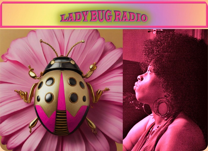 Lady bug radio banner work1 smaller